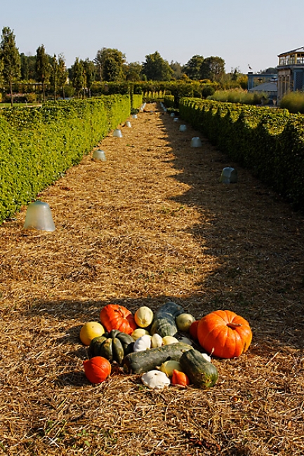 Chateau du Champ de Bataille-061